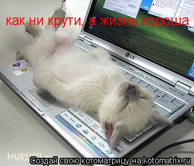 как ни крути, а жизнь хороша... Котоматрица: как ни крути, а жизнь хороша