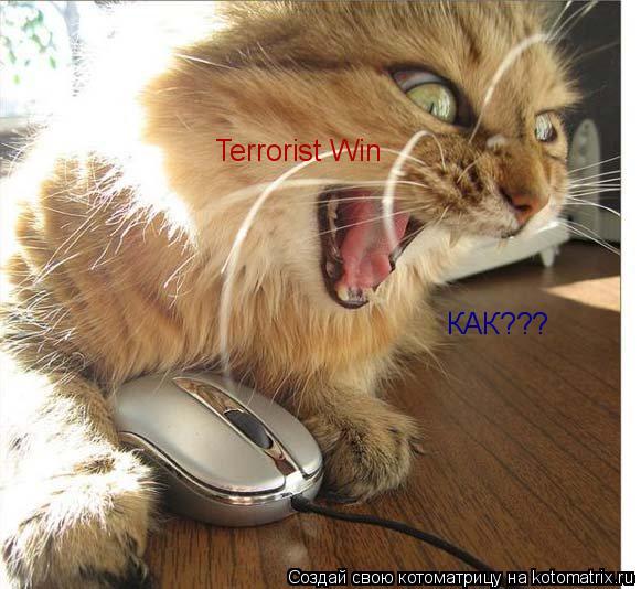 Terrorist Win КАК???... Котоматрица: Terrorist Win КАК???
