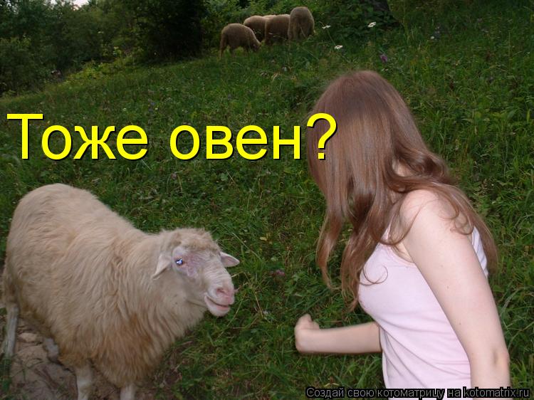 Тоже овен?... Котоматрица: Тоже овен?