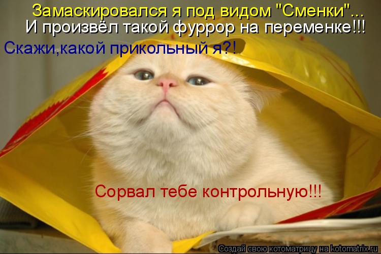 Сорвал тебе контрольную!!! И произвёл такой фуррор на переменке!!! Скажи,какой прикольный я?! Замаск... Котоматрица: Сорвал тебе контрольную!!! И произвёл такой фуррор на переменке!!! Скажи,какой прикольный я?! Замаскировался я под видом "Сменки"...
