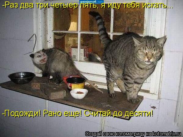 -Раз два три четыер пять, я иду тебя искать... -Подожди! Рано еще! Считай до десяти!... Котоматрица: -Раз два три четыер пять, я иду тебя искать... -Подожди! Рано еще! Считай до десяти!