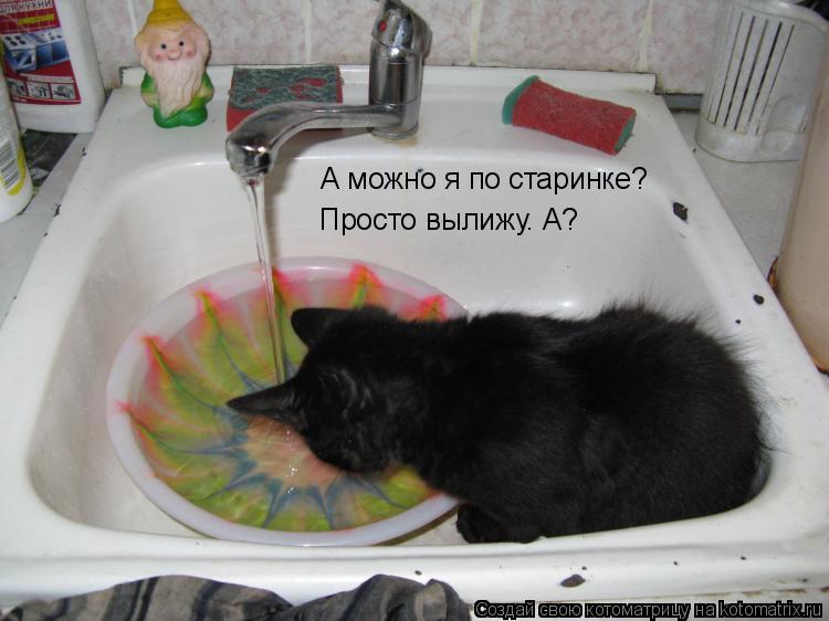 А можно я по старинке? Просто вылижу. А?... Котоматрица: А можно я по старинке? Просто вылижу. А?