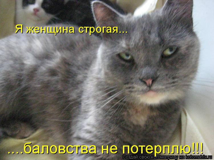Я женщина строгая... ....баловства не потерплю!!!... Котоматрица: Я женщина строгая... ....баловства не потерплю!!!