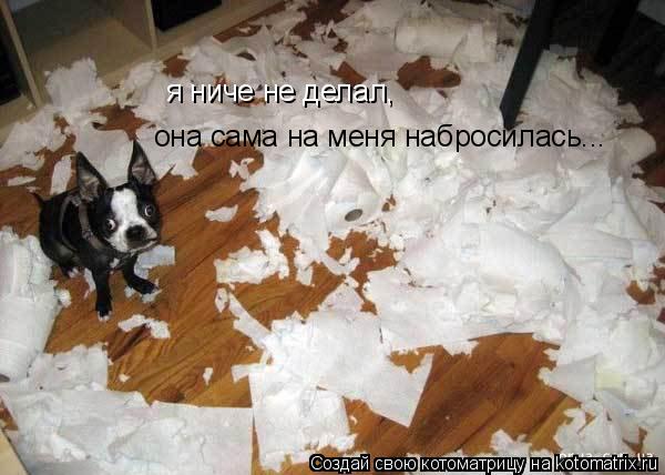 я ниче не делал, она сама на меня набросилась...... Котоматрица: я ниче не делал, она сама на меня набросилась...