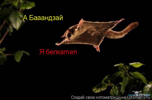 А Бааандзай Я белкаmen... Котоматрица: А Бааандзай Я белкаmen