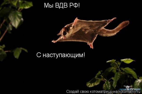 Мы ВДВ РФ! С наступающим!... Котоматрица: Мы ВДВ РФ! С наступающим!