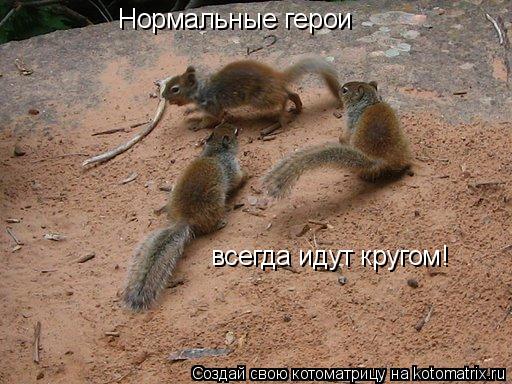 Нормальные герои всегда идут кругом!... Котоматрица: Нормальные герои всегда идут кругом!