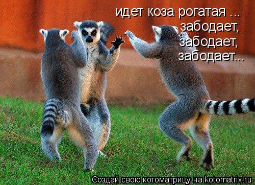 идет коза рогатая ... забодает, забодает, забодает...... Котоматрица: идет коза рогатая ... забодает, забодает, забодает...