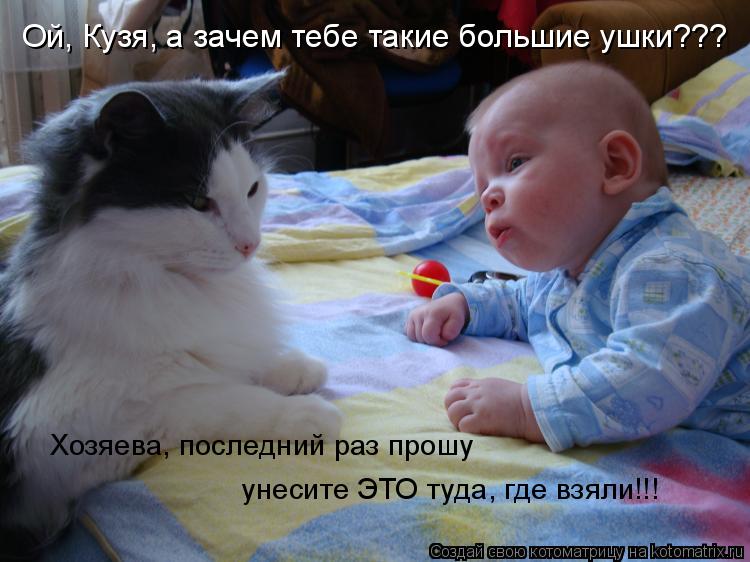 Ой, Кузя, а зачем тебе такие большие ушки??? Хозяева, последний раз прошу унесите ЭТО туда, где взяли... Котоматрица: Ой, Кузя, а зачем тебе такие большие ушки??? Хозяева, последний раз прошу унесите ЭТО туда, где взяли!!!