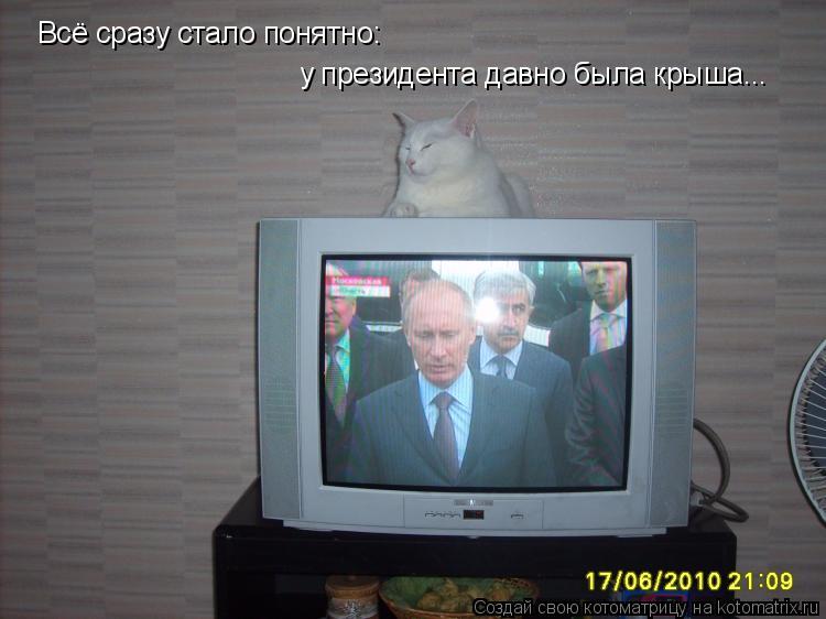 Всё сразу стало понятно: у президента давно была крыша...... Котоматрица: Всё сразу стало понятно: у президента давно была крыша...