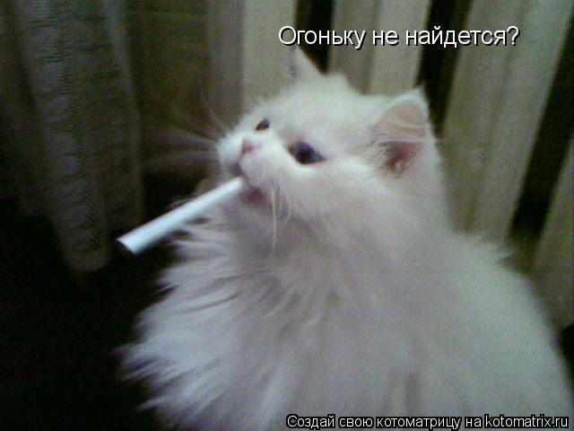 Огоньку не найдется?... Котоматрица: Огоньку не найдется?
