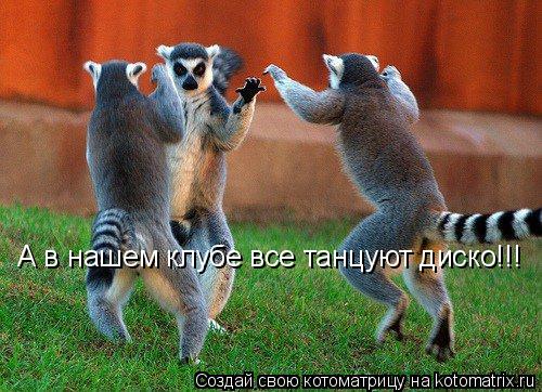 А в нашем клубе все танцуют диско!!!... Котоматрица: А в нашем клубе все танцуют диско!!!