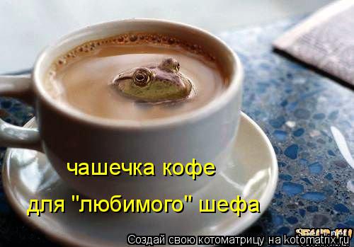 чашечка кофе для "любимого" шефа... Котоматрица: чашечка кофе для "любимого" шефа