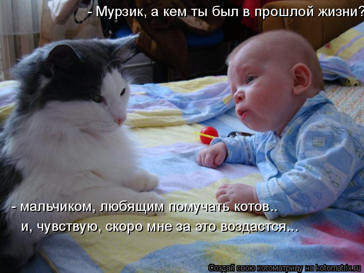 Котоматрица: - Мурзик, а кем ты был в прошлой жизни? - мальчиком, любящим помучать котов..  и, чувствую, скоро мне за это воздастся...