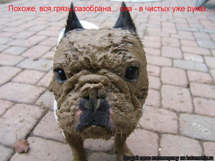 Похоже, вся грязь разобрана... она - в чистых уже руках.... Котоматрица: Похоже, вся грязь разобрана... она - в чистых уже руках.