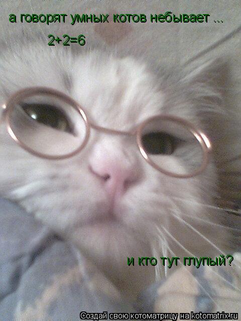 а говорят умных котов небывает ... 2+2=6 и кто тут глупый?... Котоматрица: а говорят умных котов небывает ... 2+2=6 и кто тут глупый?