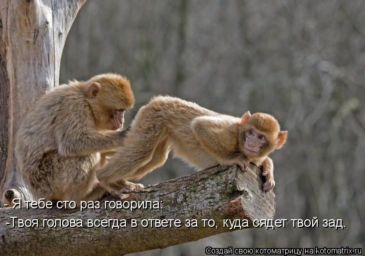 -Твоя голова всегда в ответе за то, куда сядет твой зад. - Я тебе сто раз говорила:... Котоматрица: -Твоя голова всегда в ответе за то, куда сядет твой зад. - Я тебе сто раз говорила: