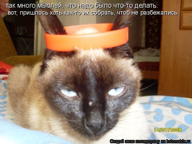 так много мыслей, что надо было что-то делать. вот, пришлось хоть как-то их собрать, чтоб не разбежал... Котоматрица: так много мыслей, что надо было что-то делать. вот, пришлось хоть как-то их собрать, чтоб не разбежались.