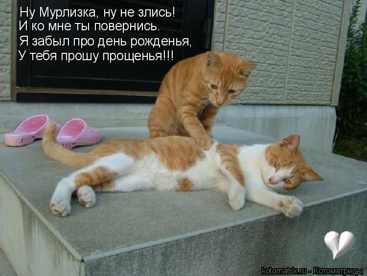 Ну Мурлизка, ну не злись! И ко мне ты повернись. Я забыл про день рожденья, У тебя прошу прощенья!!!... Котоматрица: Ну Мурлизка, ну не злись! И ко мне ты повернись. Я забыл про день рожденья, У тебя прошу прощенья!!!