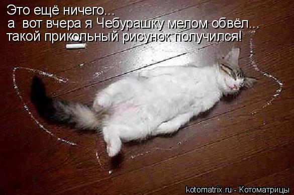 Это ещё ничего... а вот вчера я Чебурашку мелом обвёл... такой прикольный рисунок получился!... Котоматрица: Это ещё ничего... а вот вчера я Чебурашку мелом обвёл... такой прикольный рисунок получился!