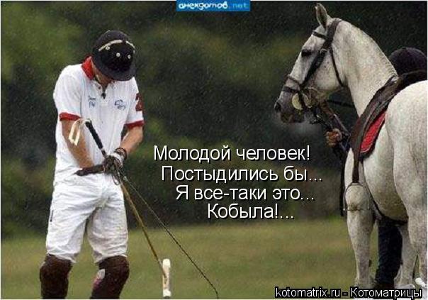 Молодой человек! Постыдились бы... Я все-таки это... Кобыла!...... Котоматрица: Молодой человек! Постыдились бы... Я все-таки это... Кобыла!...