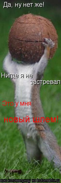 Да, ну нет же! Нигде я не застревал Это у мня новый шлем!... Котоматрица: Да, ну нет же! Нигде я не застревал Это у мня новый шлем!