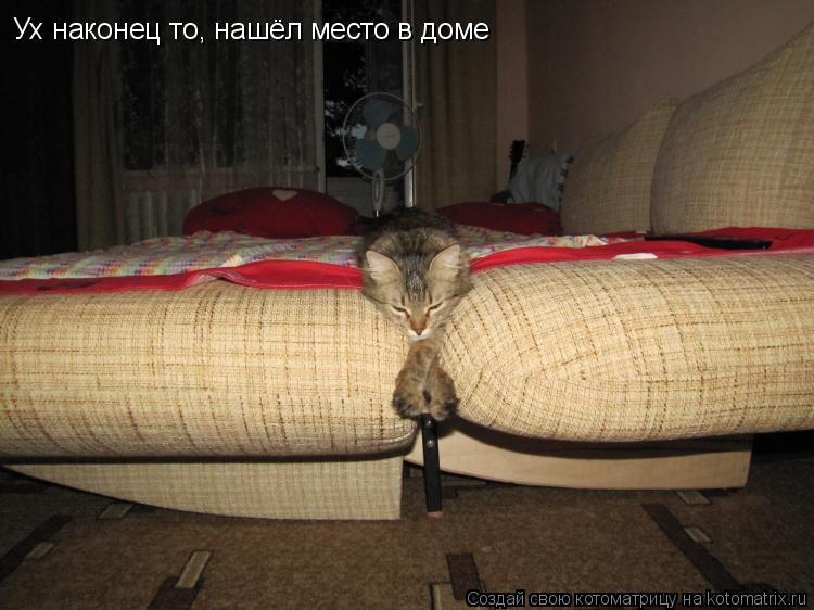 Ух наконец то, нашёл место в доме... Котоматрица: Ух наконец то, нашёл место в доме