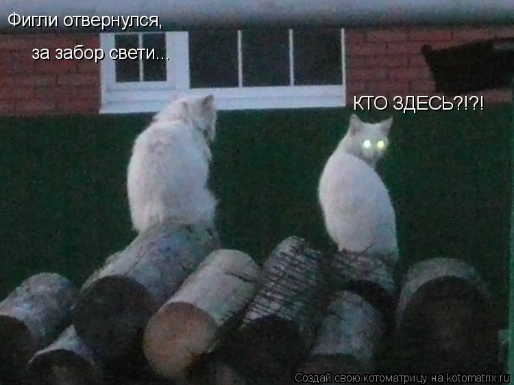 Фигли отвернулся, за забор свети... КТО ЗДЕСЬ?!?!... Котоматрица: Фигли отвернулся, за забор свети... КТО ЗДЕСЬ?!?!