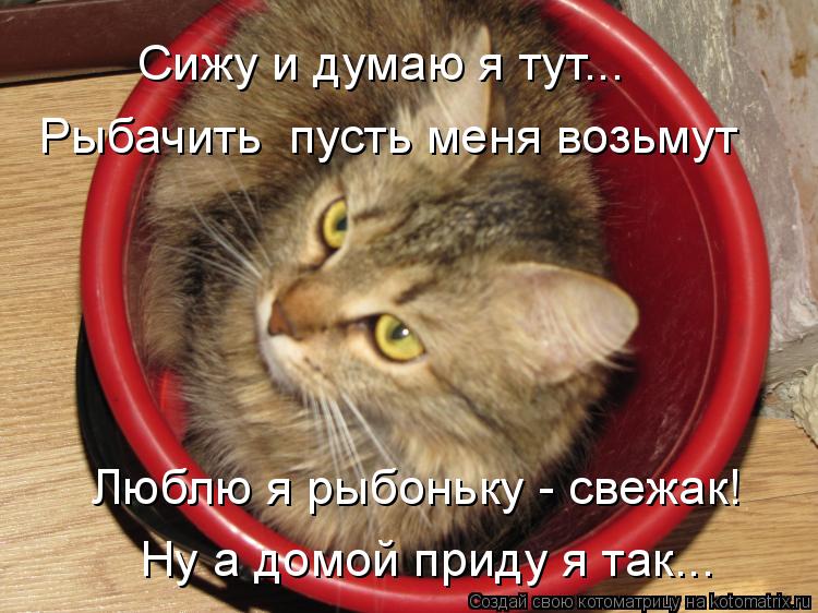 Сижу и думаю я тут... Рыбачить пусть меня возьмут Люблю я рыбоньку - свежак! Ну а домой приду я так.... Котоматрица: Сижу и думаю я тут... Рыбачить пусть меня возьмут Люблю я рыбоньку - свежак! Ну а домой приду я так...