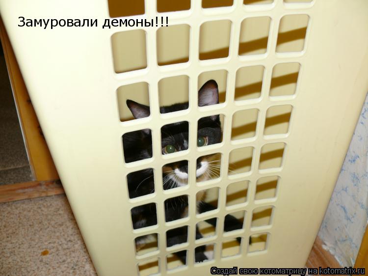 Замуровали демоны!!!... Котоматрица: Замуровали демоны!!!