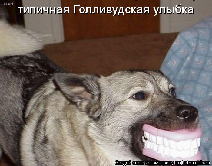 типичная Голливудская улыбка типичная Голливудская улыбка... Котоматрица: типичная Голливудская улыбка типичная Голливудская улыбка