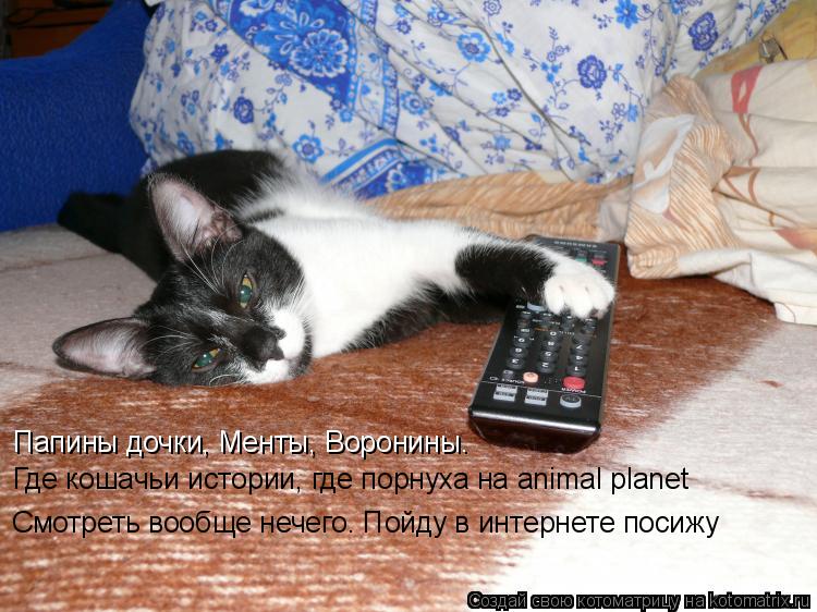 Папины дочки, Менты, Воронины. Где кошачьи истории, где порнуха на animal planet Папины дочки, Менты,... Котоматрица: Папины дочки, Менты, Воронины. Где кошачьи истории, где порнуха на animal planet Папины дочки, Менты, Воронины. Где кошачьи истории, где порнуха на