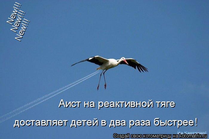 New!!! New!!! New!!! Аист на реактивной тяге доставляет детей в два раза быстрее!... Котоматрица: New!!! New!!! New!!! Аист на реактивной тяге доставляет детей в два раза быстрее!