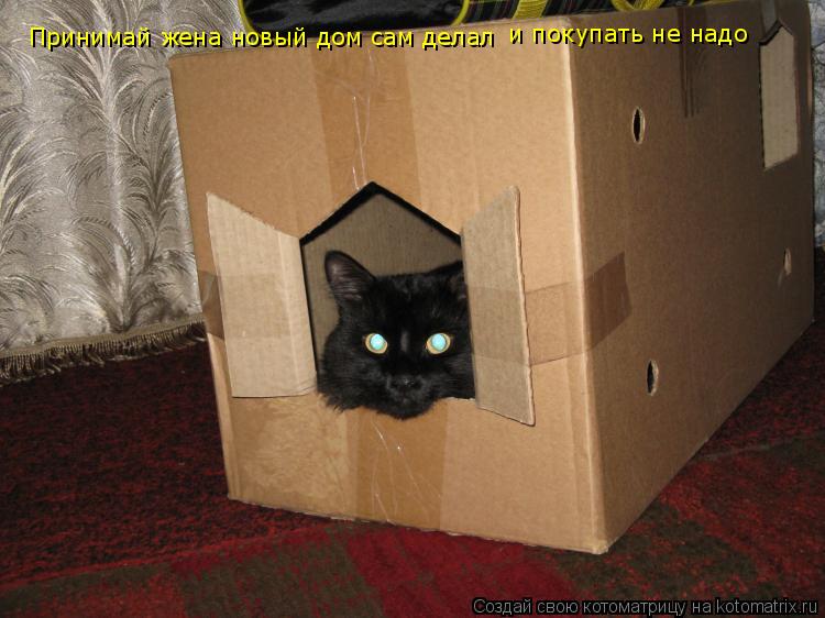 Принимай жена новый дом сам делал и покупать не надо... Котоматрица: Принимай жена новый дом сам делал и покупать не надо