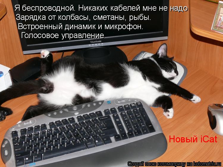 Я беспроводной. Никаких кабелей мне не надо Зарядка от колбасы, сметаны, рыбы. Встроенный динамик и ... Котоматрица: Я беспроводной. Никаких кабелей мне не надо Зарядка от колбасы, сметаны, рыбы. Встроенный динамик и микрофон. Голосовое управление Новый iCat