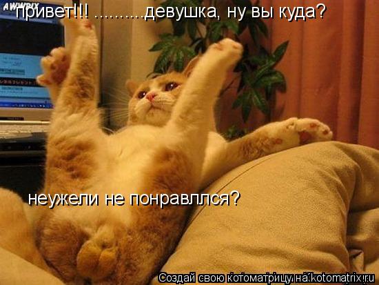 привет!!! ..........девушка, ну вы куда? неужели не понравллся?... Котоматрица: привет!!! ..........девушка, ну вы куда? неужели не понравллся?