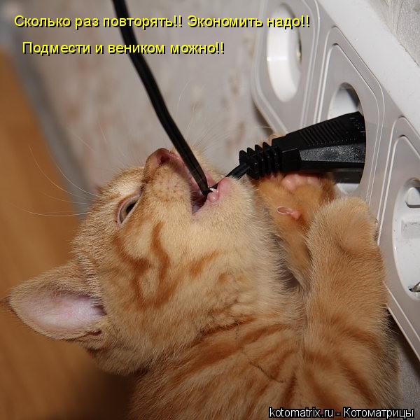 Подмести и веником можно!! Сколько раз повторять!! Экономить надо!!... Котоматрица: Подмести и веником можно!! Сколько раз повторять!! Экономить надо!!
