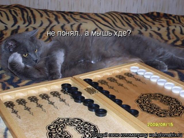 не понял.. а мышь хде?... Котоматрица: не понял.. а мышь хде?