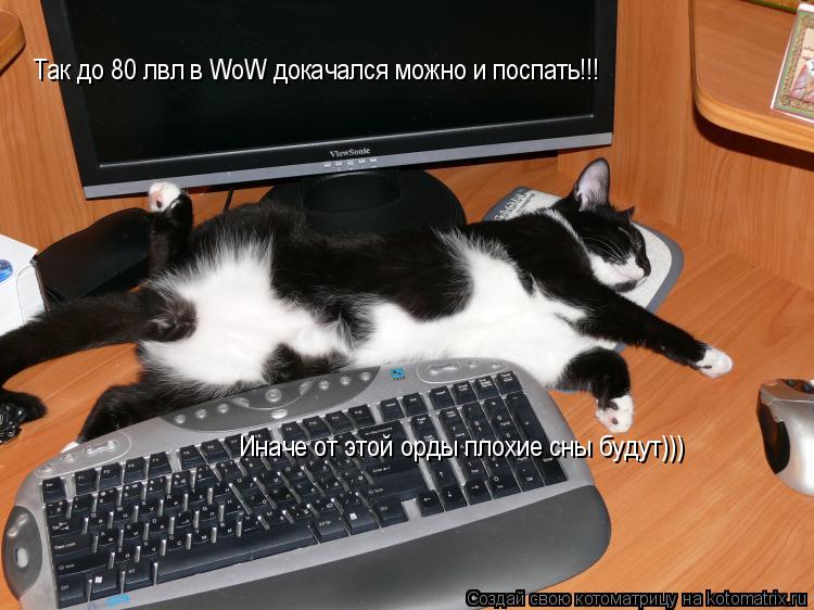 Так до 80 лвл в WoW докачался можно и поспать!!! Иначе от этой орды плохие сны будут)))... Котоматрица: Так до 80 лвл в WoW докачался можно и поспать!!! Иначе от этой орды плохие сны будут)))