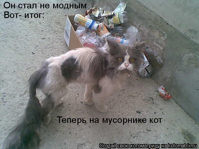 Он стал не модным Вот- итог: Теперь на мусорнике кот... Котоматрица: Он стал не модным Вот- итог: Теперь на мусорнике кот