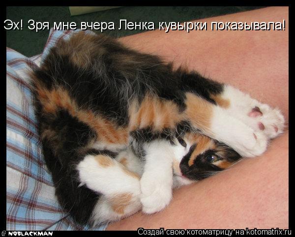 Эх! Зря мне вчера Ленка кувырки показывала!... Котоматрица: Эх! Зря мне вчера Ленка кувырки показывала!