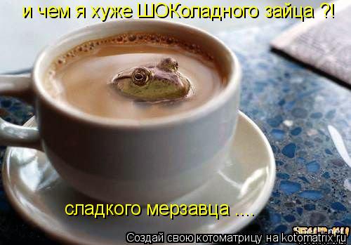 и чем я хуже ШОКоладного зайца ?! сладкого мерзавца ....... Котоматрица: и чем я хуже ШОКоладного зайца ?! сладкого мерзавца ....