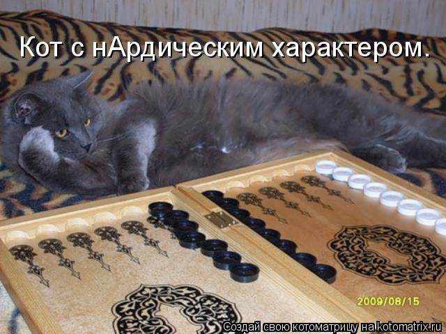 Кот с нАрдическим характером.... Котоматрица: Кот с нАрдическим характером.