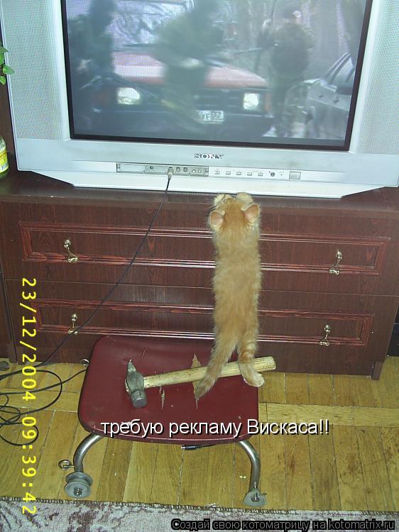 требую рекламу Вискаса!!... Котоматрица: требую рекламу Вискаса!!