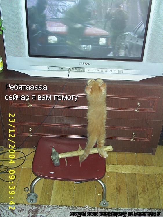 Ребятааааа, сейчас я вам помогу... Котоматрица: Ребятааааа, сейчас я вам помогу