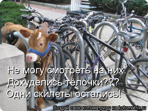 Дохуделись тёлочки??? Одни скилеты остались! Не могу смотреть на них.... Котоматрица: Дохуделись тёлочки??? Одни скилеты остались! Не могу смотреть на них.
