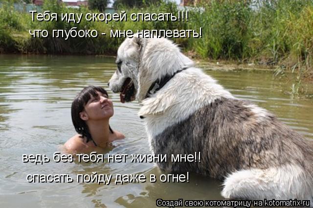Тебя иду скорей спасать!!! что глубоко - мне наплевать! ведь без тебя нет жизни мне!! спасать пойду д... Котоматрица: Тебя иду скорей спасать!!! что глубоко - мне наплевать! ведь без тебя нет жизни мне!! спасать пойду даже в огне!