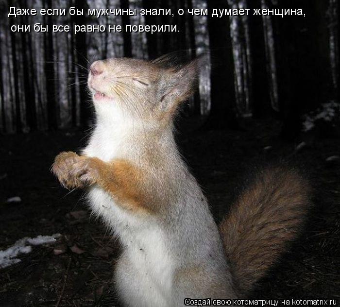 Даже если бы мужчины знали, о чем думает женщина, они бы все равно не поверили…... Котоматрица: Даже если бы мужчины знали, о чем думает женщина, они бы все равно не поверили…