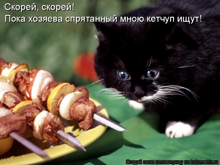Скорей, скорей! Пока хозяева спрятанный мною кетчуп ищут!... Котоматрица: Скорей, скорей! Пока хозяева спрятанный мною кетчуп ищут!