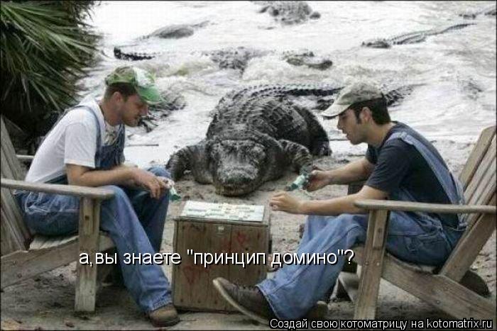 а,вы знаете "принцип домино"?... Котоматрица: а,вы знаете "принцип домино"?